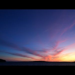 Meet your Posher, Jessie